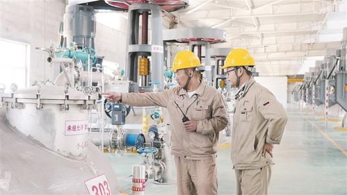 新疆自貿(mào)試驗區(qū)建設 技術咨詢助力高質量發(fā)展